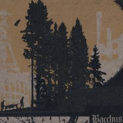 Bacchus (IRL) : Attica